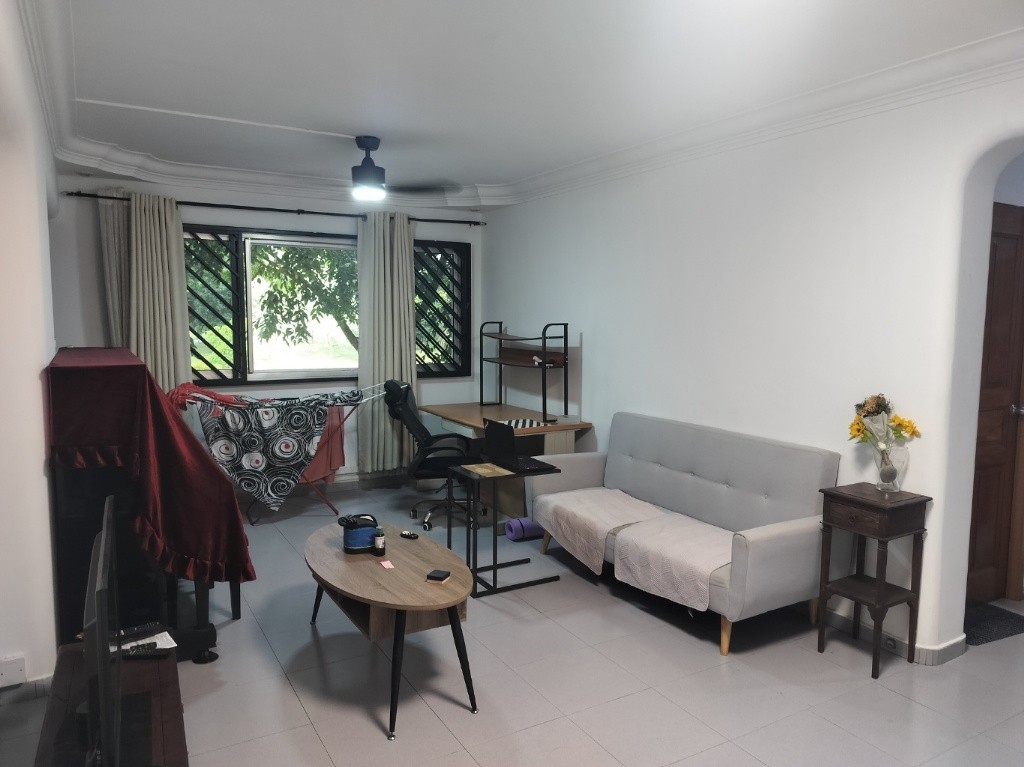 FEMALE ONLY, SOLO COMMON ROOM FOR RENT - Bishan 碧山 - 整个住家 - Homates 新加坡