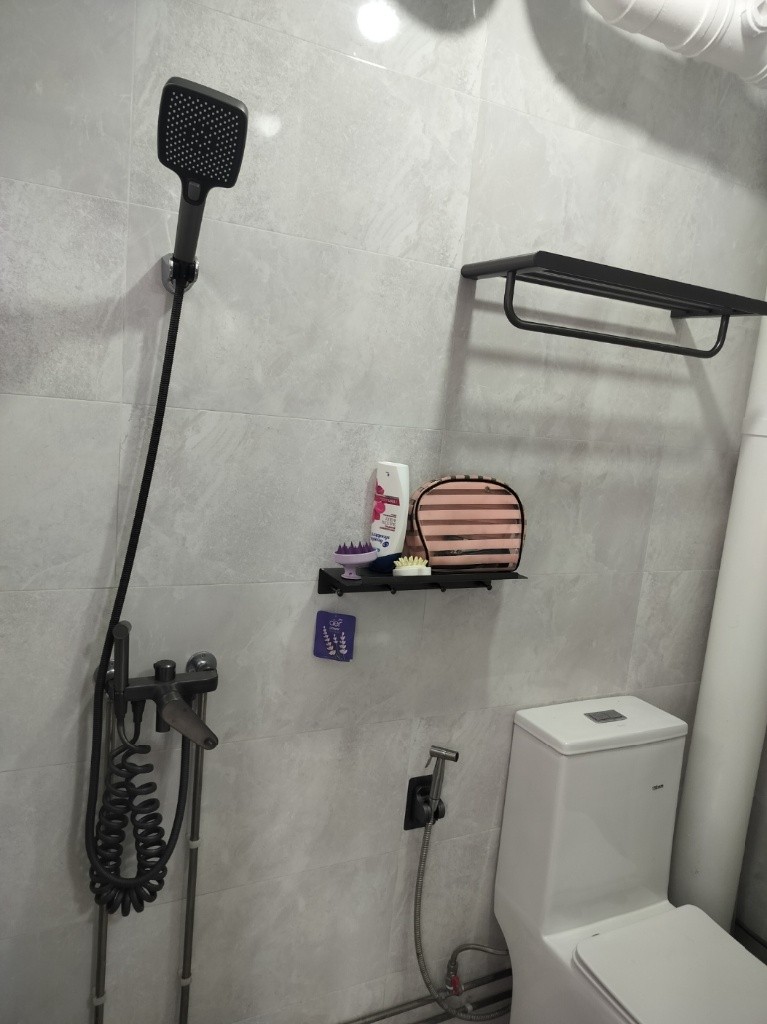 FEMALE ONLY, SOLO COMMON ROOM FOR RENT - Bishan 碧山 - 整个住家 - Homates 新加坡