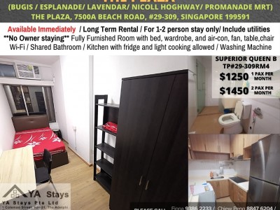 Homates 新加坡 - Farrer Park 花拉公園 -  7500A Beach Road, #29-309, Singapore 199591