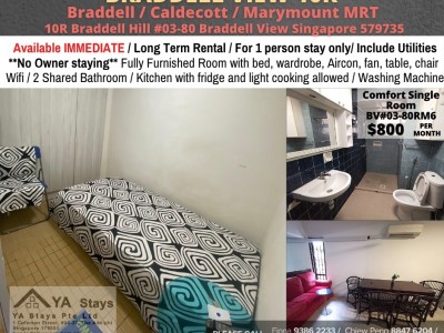 Homates 新加坡 - Braddell 布萊徳 - 10R Braddell Hill