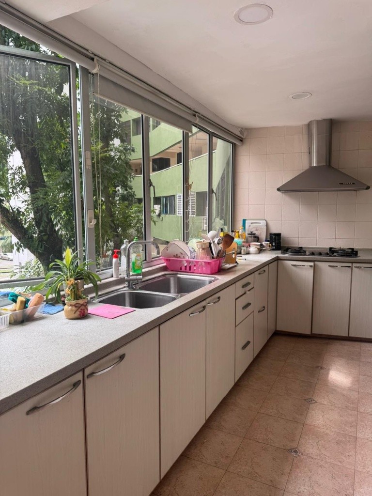 Room for Rent/1N Pine Grove, #03-61, Singapore 591301/ For 1-2 pax/ Available Immediately - Bukit Timah 武吉知馬 - 整個住家 - Homates 新加坡