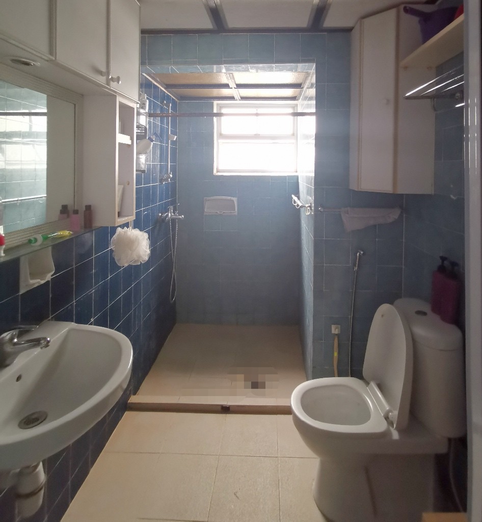 Available﻿ 21 July - Common Room/Include Utilities/Wifi/Aircon/No Agent Fee/Light Cooking Allowed/Washing Machine - Braddell 布萊徳 - 分租房間 - Homates 新加坡
