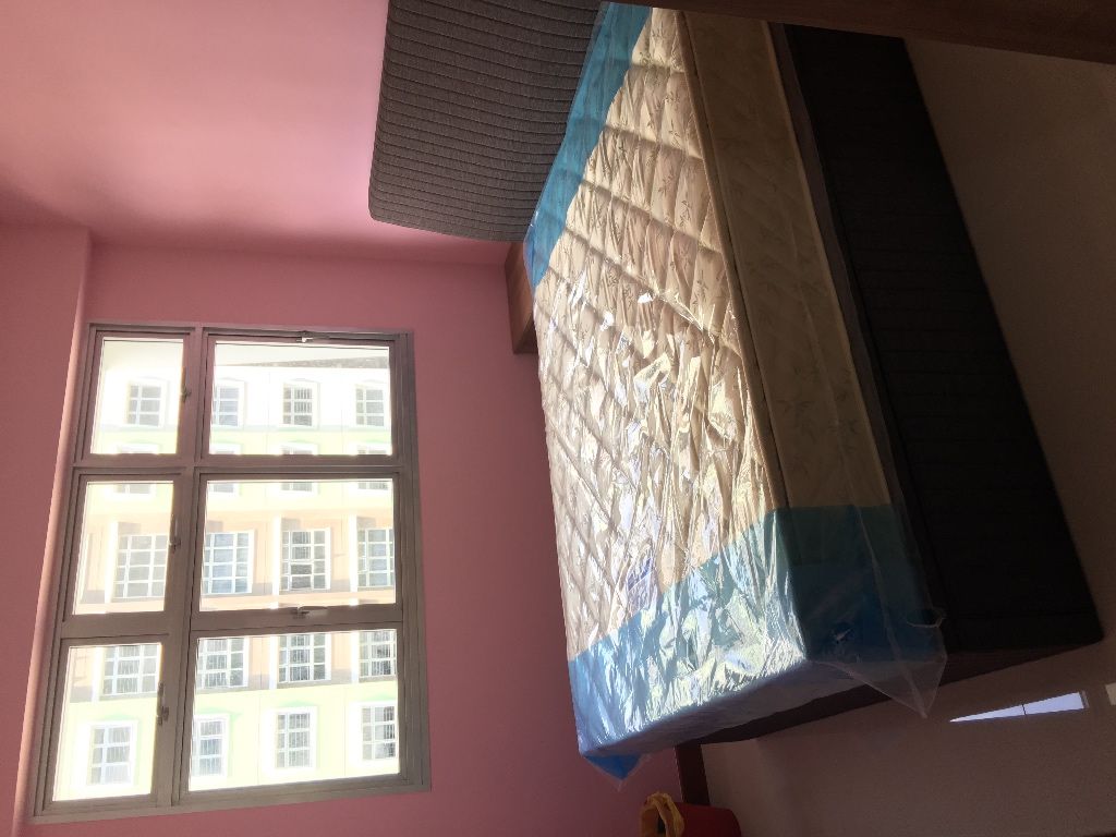 Bland New Room for Rent  - Tampines 淡滨尼 - 分租房间 - Homates 新加坡