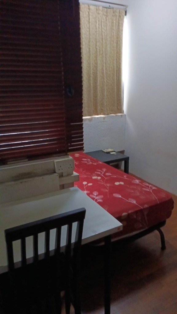 Room for rent / Balestier / Common room / 1pax stay / Available 11 Sept - Novena 诺维娜 - 分租房间 - Homates 新加坡