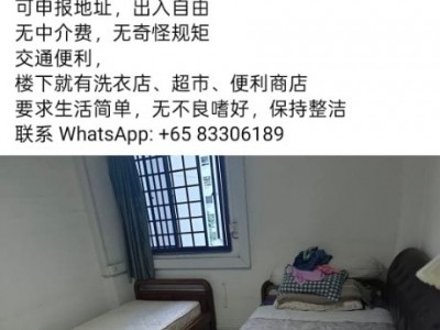 新加坡 -  - 大巴窑七巷大牌4