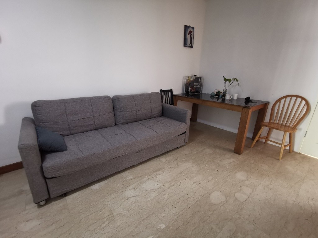 Room for rent / River Valley / Master Room / 1 Pax Stay / Available 15 November - River Valley 裡峇峇利 - 分租房間 - Homates 新加坡
