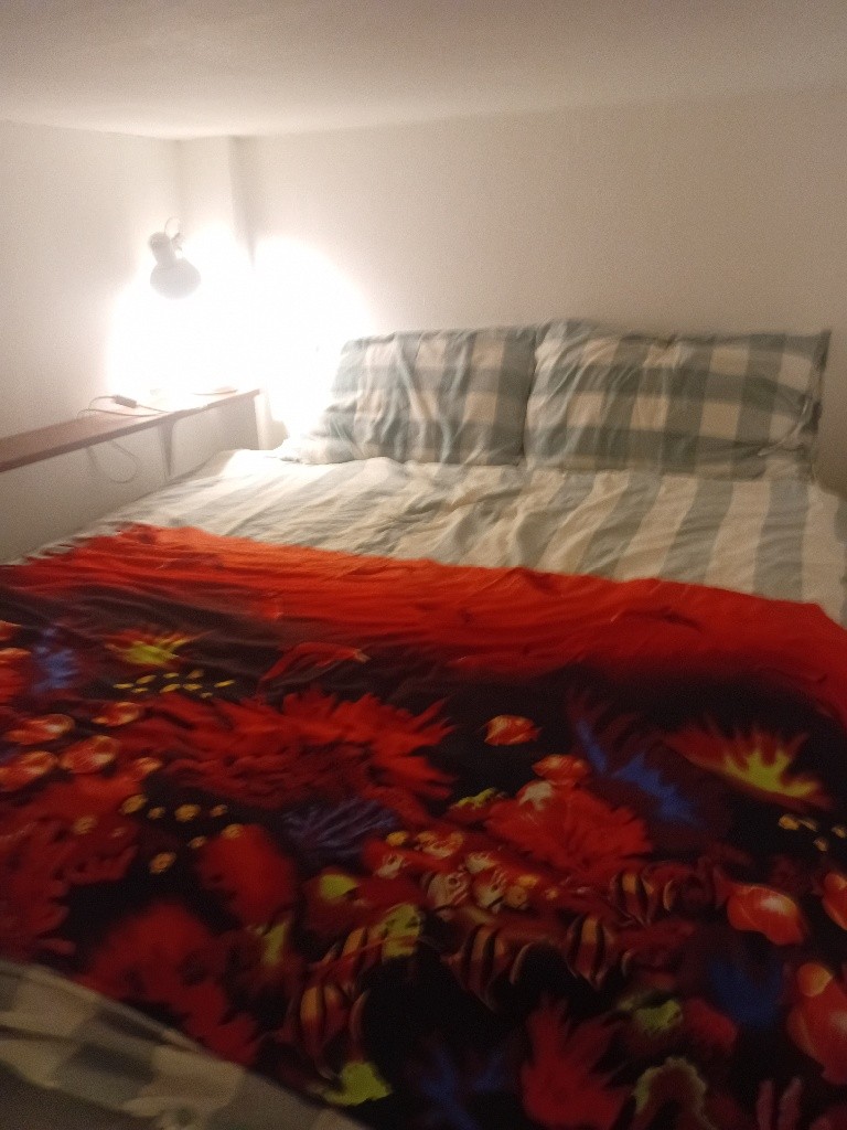 Koh Samet Roommate in Beautiful Apartment  -  - Flat - Homates Thailand
