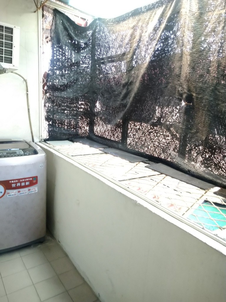 新莊民本街獨立大套房近捷運近公車站生活機能超方便 - 新莊區 - 獨立套房 - Homates 台灣