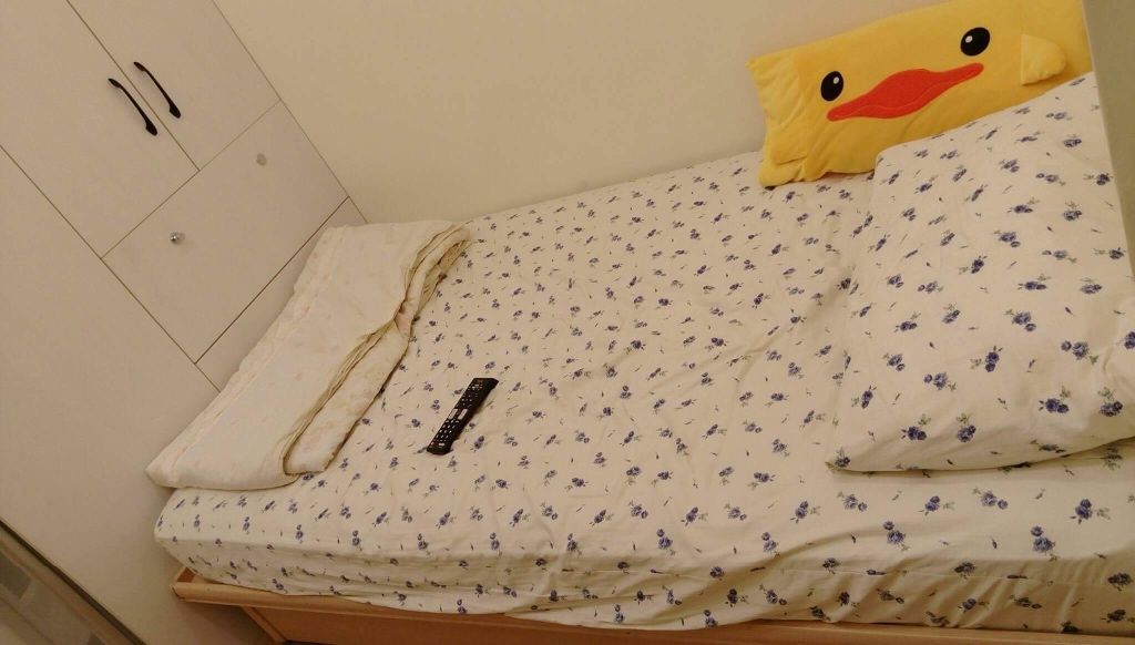 【永和區】全新豪華甜蜜鄉村風套房出租～（可短租） - 永和區 - 雅房 - Homates 台灣