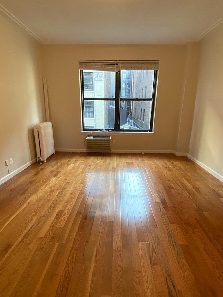 纽约曼哈顿中城近帝国大厦两室一厅公寓$3995/月 - New York - 整套出租 - Homates 美国