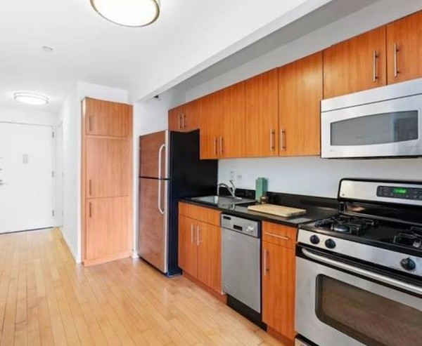 New York Downtown Manhattan Studio $3300/M - New York - 整套出租 - Homates 美国