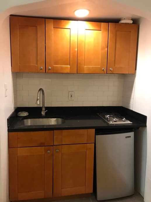 纽约市曼哈顿中城West 29st超便宜SRO公寓_$900/月包水,暖,电 - New York - 整套出租 - Homates 美国